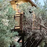 Bed & Breakfast Palazzo Conforti Tree House