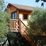 Palazzo Conforti Tree House Frühstückspension