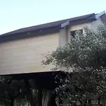 Palazzo Conforti Tree House 3* Marano Marchesato