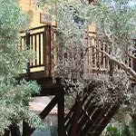 Palazzo Conforti Tree House