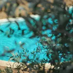 Bed & Breakfast Palazzo Conforti Tree House Marano Marchesato