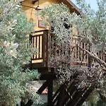 Palazzo Conforti Tree House 3*