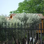 Palazzo Conforti Tree House Frühstückspension Marano Marchesato