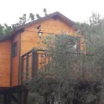 Bed & Breakfast Palazzo Conforti Tree House