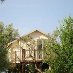 Palazzo Conforti Tree House Frühstückspension Marano Marchesato