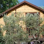 Palazzo Conforti Tree House Marano Marchesato