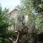 Bed & Breakfast Palazzo Conforti Tree House Marano Marchesato
