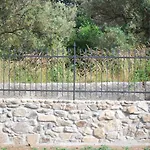 Palazzo Conforti Tree House Bed & Breakfast 3*