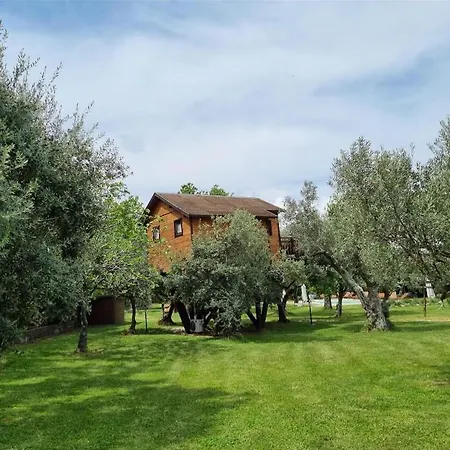 Palazzo Conforti Tree House Bed & Breakfast Rende