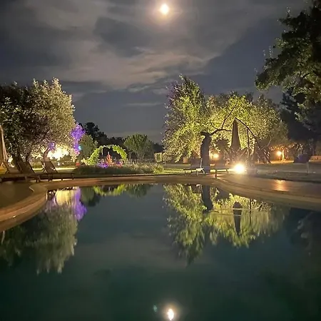 Palazzo Conforti Tree House