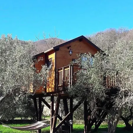 Palazzo Conforti Tree House Frühstückspension