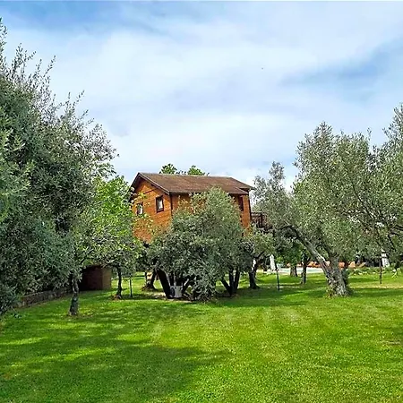 Bed & Breakfast Palazzo Conforti Tree House Marano Marchesato