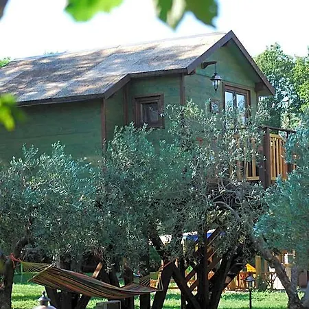 Palazzo Conforti Tree House