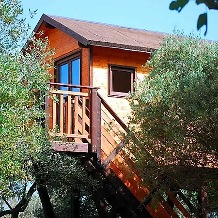 فندق مبيت وإفطار Palazzo Conforti Tree House 3*
