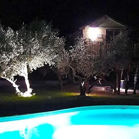 Palazzo Conforti Tree House Bed & Breakfast