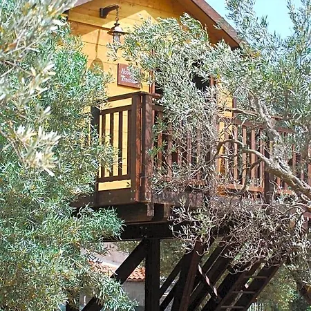 Palazzo Conforti Tree House Bed & Breakfast 3*
