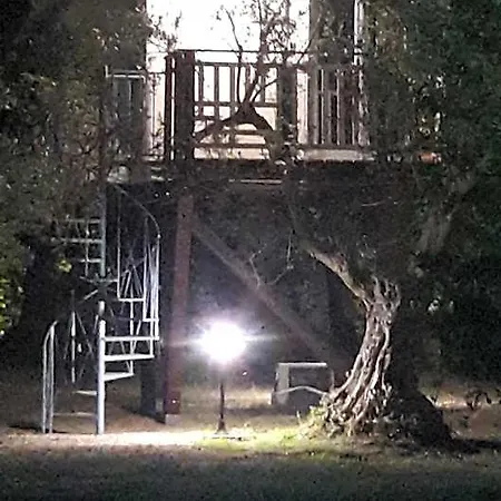 Bed & Breakfast Palazzo Conforti Tree House Marano Marchesato