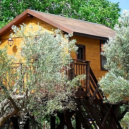 Palazzo Conforti Tree House