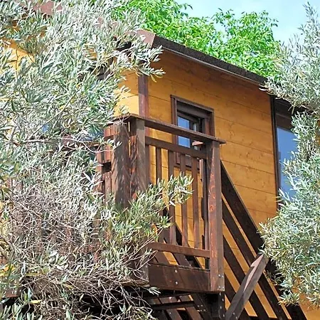 Palazzo Conforti Tree House Marano Marchesato