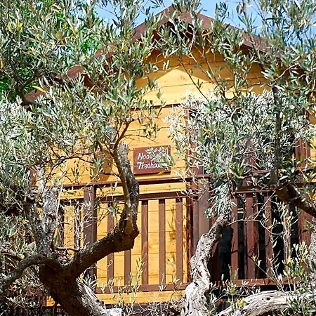 فندق مبيت وإفطار Palazzo Conforti Tree House Marano Marchesato