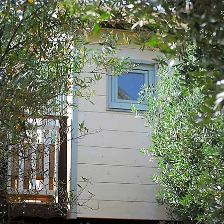 Palazzo Conforti Tree House فندق مبيت وإفطار Marano Marchesato
