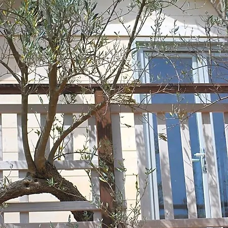 Palazzo Conforti Tree House Bed & Breakfast 3*