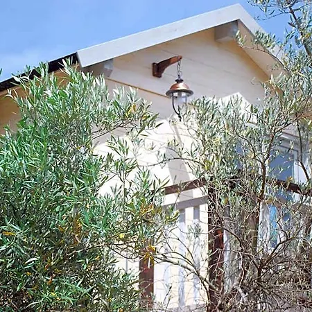Palazzo Conforti Tree House