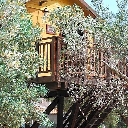 Bed & Breakfast Palazzo Conforti Tree House 3*