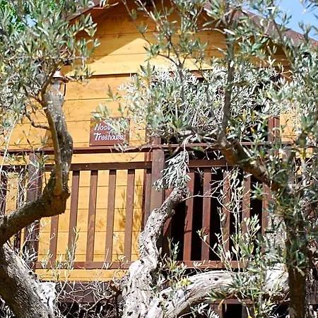 Palazzo Conforti Tree House فندق مبيت وإفطار 3*