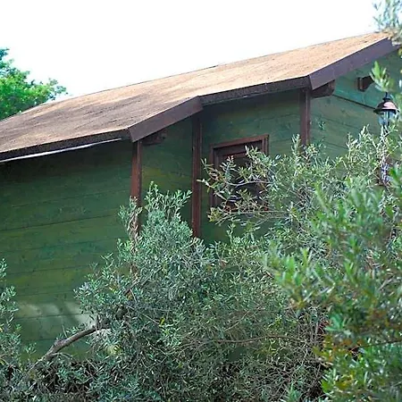 فندق مبيت وإفطار Palazzo Conforti Tree House Marano Marchesato