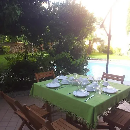 Palazzo Conforti Tree House Bed & Breakfast Rende