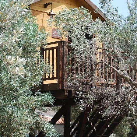 B&B Palazzo Conforti Tree House