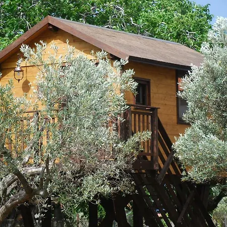 Oda ve Kahvaltı Palazzo Conforti Tree House Marano Marchesato