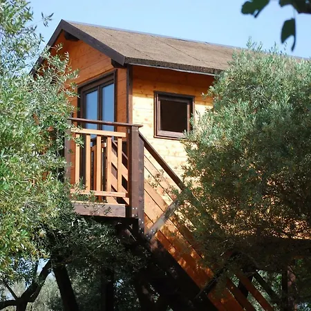 Palazzo Conforti Tree House Bed and Breakfast