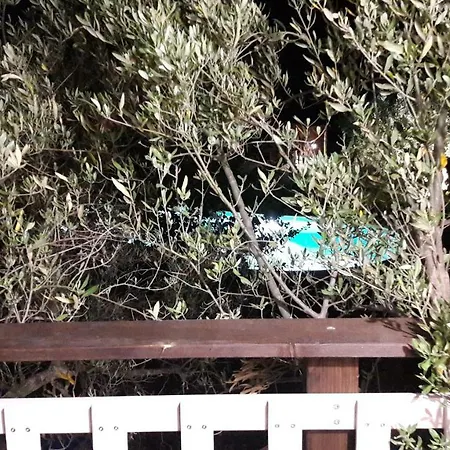 Palazzo Conforti Tree House 3*