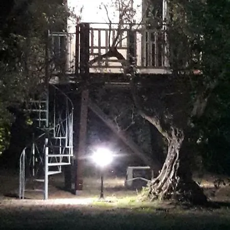 Bed & Breakfast Palazzo Conforti Tree House *