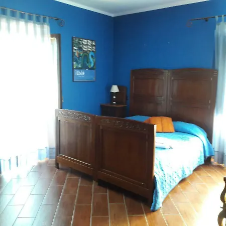 Palazzo Conforti Tree House Bed & Breakfast Marano Marchesato