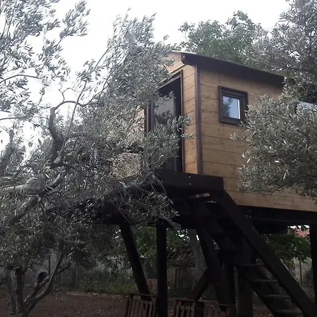 B&B Palazzo Conforti Tree House