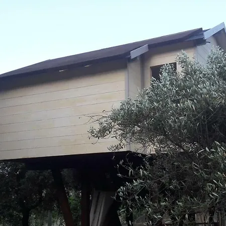 Palazzo Conforti Tree House * Rende
