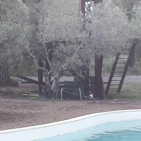 Palazzo Conforti Tree House Bed & Breakfast *