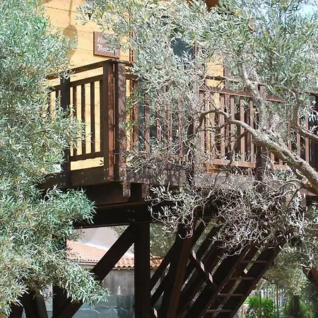 Palazzo Conforti Tree House