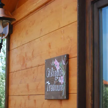 Palazzo Conforti Tree House Bed and Breakfast Marano Marchesato
