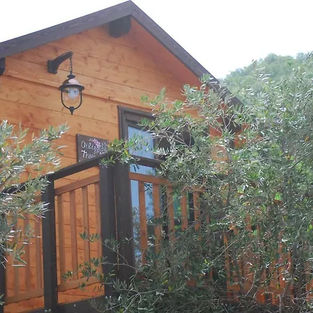 Palazzo Conforti Tree House *