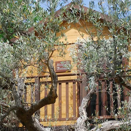 Palazzo Conforti Tree House Alojamento de Acomodação e Pequeno-almoço 3*