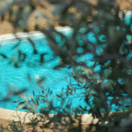 Bed and Breakfast Palazzo Conforti Tree House Marano Marchesato