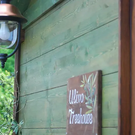 Bed and Breakfast Palazzo Conforti Tree House Marano Marchesato