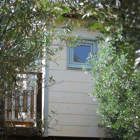 Palazzo Conforti Tree House Bed & Breakfast