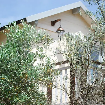 Bed & Breakfast Palazzo Conforti Tree House *