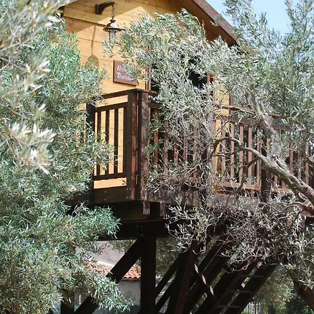 Palazzo Conforti Tree House *