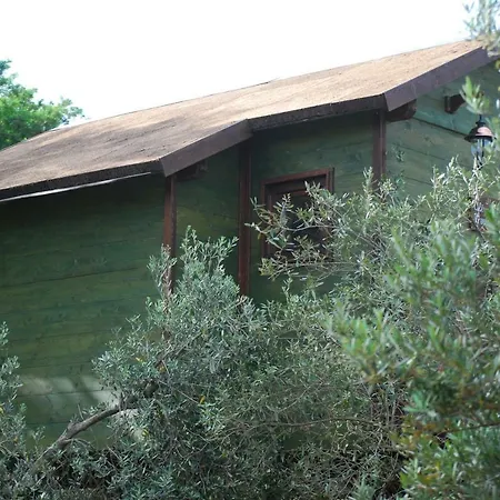 Alojamento de Acomodação e Pequeno-almoço Palazzo Conforti Tree House Marano Marchesato